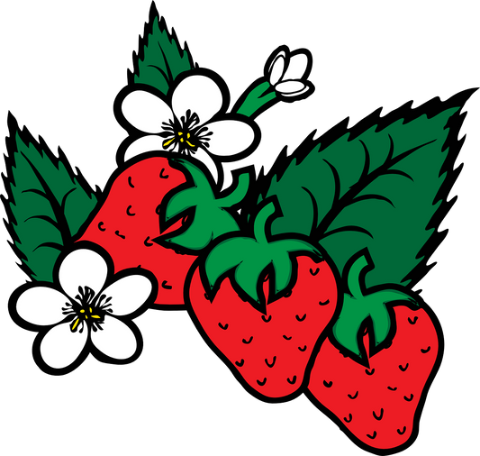Agricultural Weather Forecast Package for Strawberry Growers
